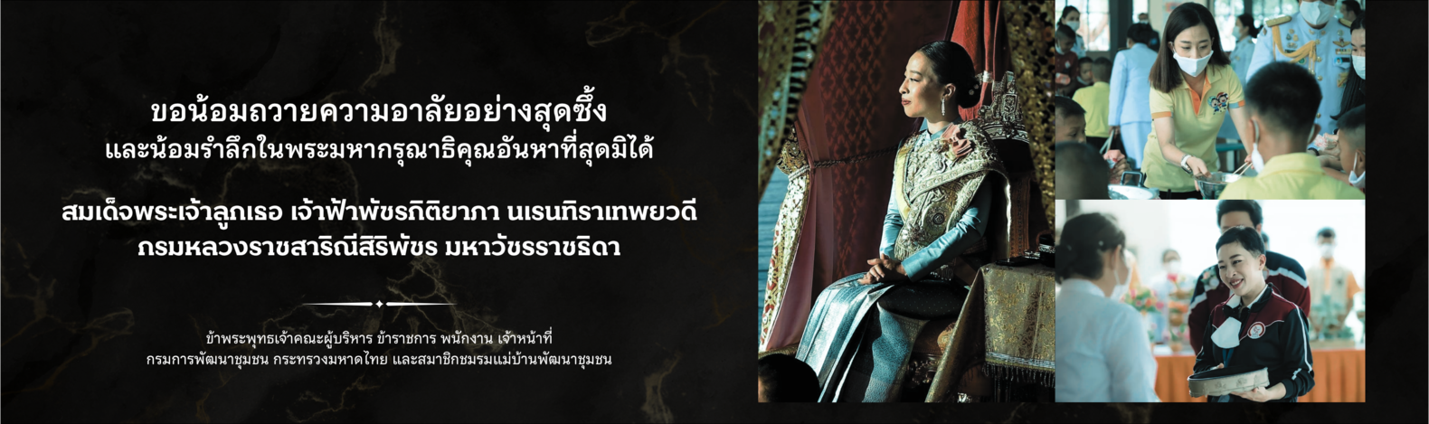 ไฮไลท์ส่วนกลาง-1